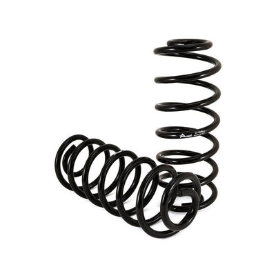 Arnott Coil Spring Conversation Kit Rear C-2285