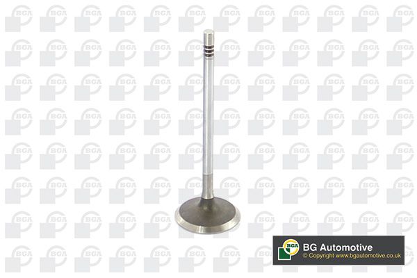 BGA Intake Valve Inlet V229666 - image 2