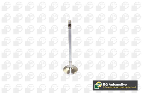 BGA Intake Valve Inlet V166200 - image 2