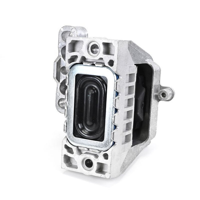 Delphi Engine Mount TEM273 - image 4
