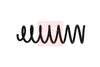 Apec Coil Spring ACS1911 thumbnail