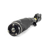 Arnott Air Suspension Strut Front Left AS-2798 thumbnail
