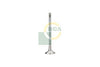 BGA Exhaust Valve V200003 thumbnail