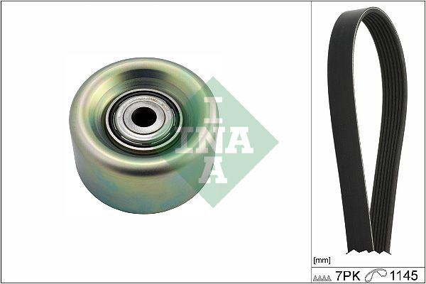 INA Drive Belt Kit 529027210 - image 2