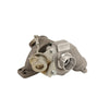 For Fiat Scudo 1.6 D DV6 Turbo Turbocharger 49173-07508 3M5Q6K682DD 54359707000 thumbnail