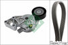 INA Drive Belt Kit 529046510 thumbnail
