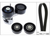 INA Drive Belt Kit 529049510 thumbnail
