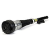 Arnott Air Suspension Strut Rear Right AS-3463 thumbnail