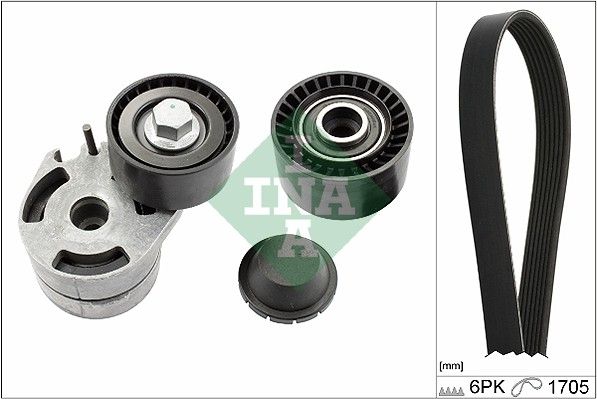 INA Drive Belt Kit 529001210 - image 2