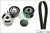 INA Drive Belt Kit 529001210 thumbnail