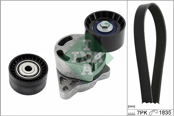 INA Drive Belt Kit 529043810 - image 2