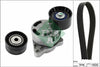 INA Drive Belt Kit 529043810 thumbnail