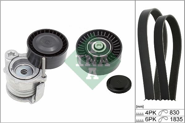INA Drive Belt Kit 529035910 - image 2