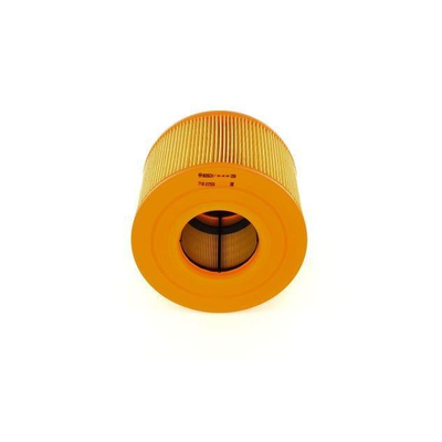 Bosch Air Filter F026400029