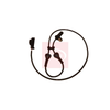 Apec Abs Sensor ABS1131 thumbnail