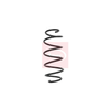 Apec Coil Spring ACS1555 thumbnail