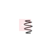 Apec Coil Spring ACS1568 thumbnail