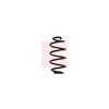 Apec Coil Spring ACS1593 thumbnail