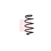 Apec Coil Spring ACS1605 thumbnail
