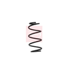 Apec Coil Spring ACS1606 thumbnail