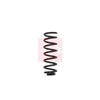 Apec Coil Spring ACS1607 thumbnail
