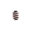 Apec Coil Spring ACS1613 thumbnail