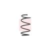 Apec Coil Spring ACS1614 thumbnail