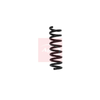 Apec Coil Spring ACS1646 thumbnail