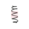 Apec Coil Spring ACS1674 thumbnail
