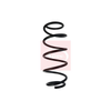 Apec Coil Spring ACS1688 thumbnail