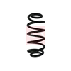 Apec Coil Spring ACS1699 thumbnail