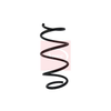 Apec Coil Spring ACS1713 thumbnail