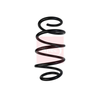 Apec Coil Spring ACS1721 thumbnail