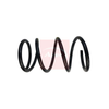 Apec Coil Spring ACS1731 thumbnail