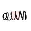 Apec Coil Spring ACS1734 thumbnail