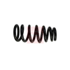 Apec Coil Spring ACS1749 thumbnail