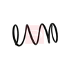 Apec Coil Spring ACS1794 thumbnail