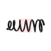 Apec Coil Spring ACS1796 thumbnail