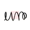 Apec Coil Spring ACS1799 thumbnail