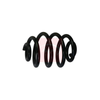 Apec Coil Spring ACS1803 thumbnail