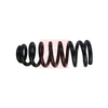 Apec Coil Spring ACS1816 thumbnail