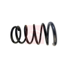 Apec Coil Spring ACS1819 thumbnail