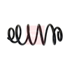 Apec Coil Spring ACS1951 thumbnail