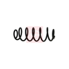 Apec Coil Spring ACS1953 thumbnail