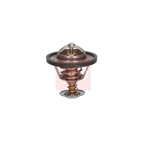Apec Thermostat ATH1401