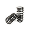 Arnott Coil Spring Conversation Kit Rear C-3080 thumbnail