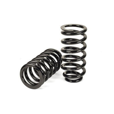 Arnott Coil Spring Conversation Kit Rear C-3080