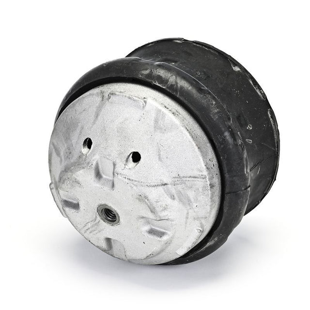 Delphi Engine Mount TEM132 - image 4