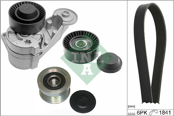 INA Drive Belt Kit 529048020 - image 2