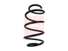 Apec Coil Spring ACS1679 thumbnail